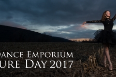 32985668002_dc0c9e73e8_k