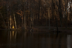 EG7_7669