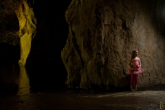 ulster rosendale copy