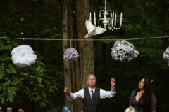 29262861657_68a306a819_k