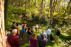 43880367745_7d6bfeada5_k