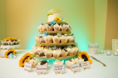 41844841310_0f2b583c6d_k