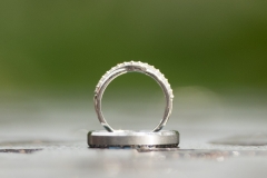 44122553565_be698f9654_h