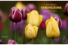 40680454024_4095e515a5_k