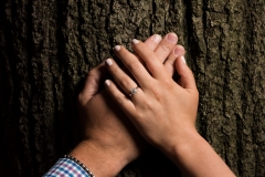 29154165718_ea2daacf72_k