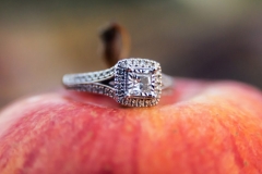 45073134434_fd3717b3f3_k-1024x589